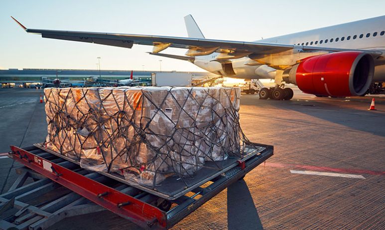 Afbeelding van WhatsApp op 2025-07-09 om 09.53.59_4daf6aca