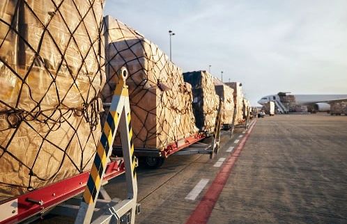 Afbeelding van WhatsApp op 2025-07-09 om 09.54.00_198a7189